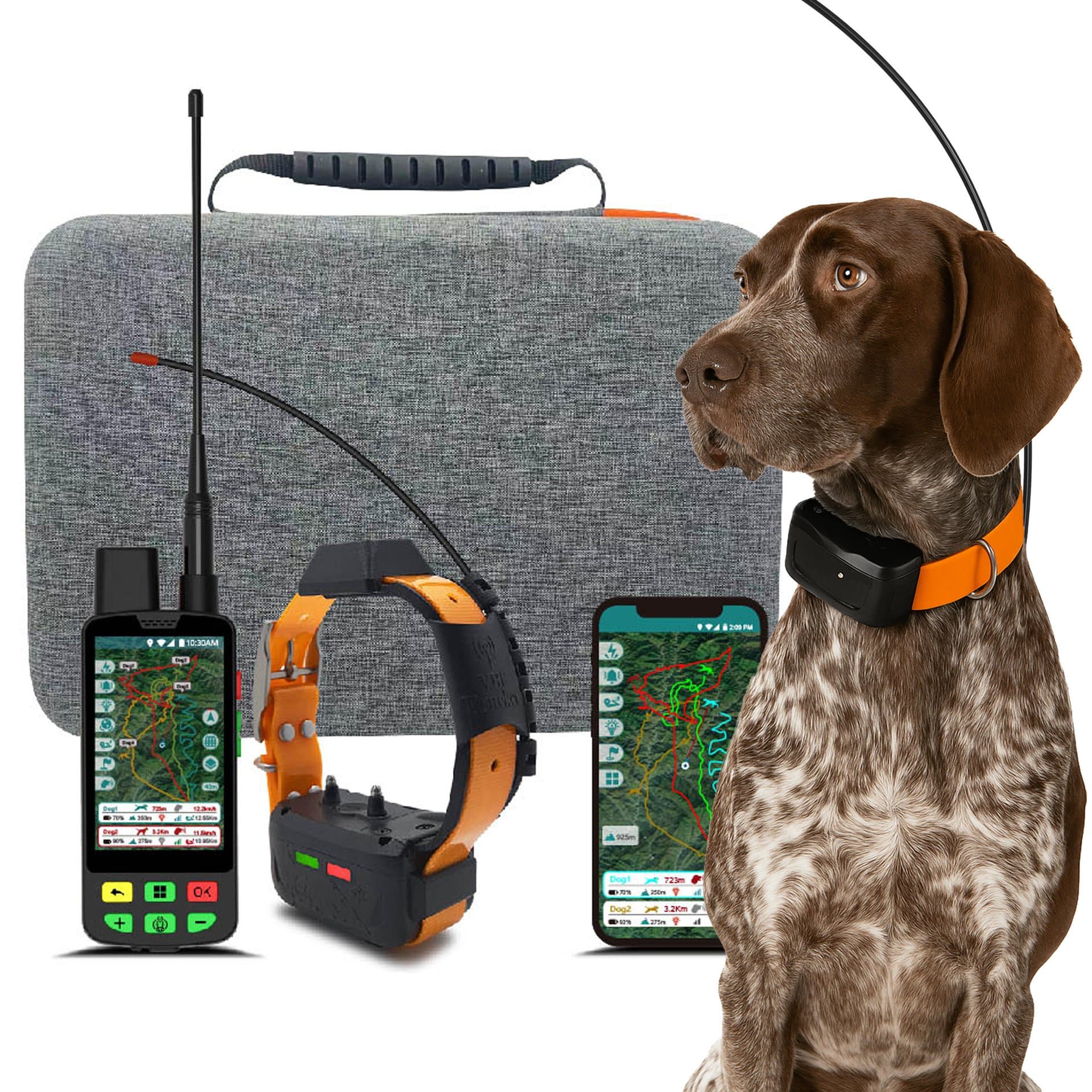 Never Lose Your Best Friend Again: A Smarter Way to Keep Your Dog Safe